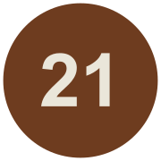 Bitcoin Halving logo