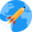 Spaceflight News logo