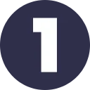1pt logo