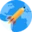 Spaceflight News logo